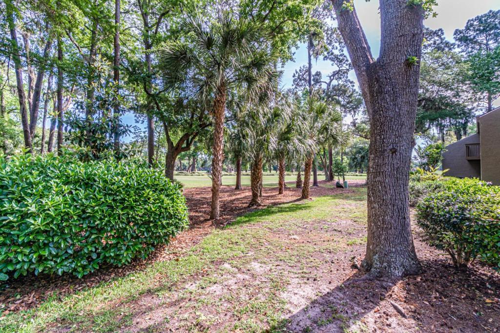 Pet Friendly! 503 Plantation Club Walk To Pool Sleeps 6 Sea Pines Villa Hilton Head Island Eksteriør billede